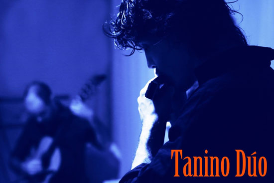 Tanino Duo - Musik, Tango, Milonga, Stuttgart, Killesberg